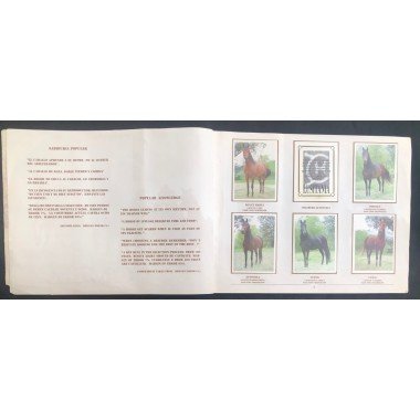 Caballos de Paso de América Al Galope