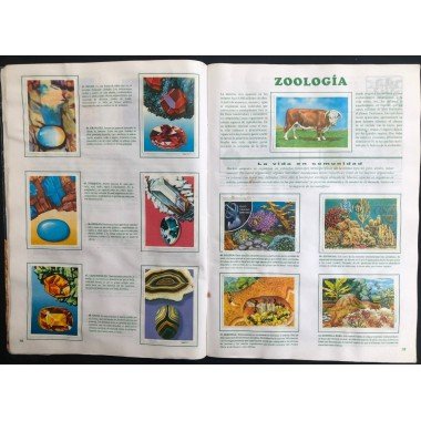 JET, Historia Natural 3