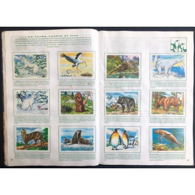 JET, Historia Natural 3