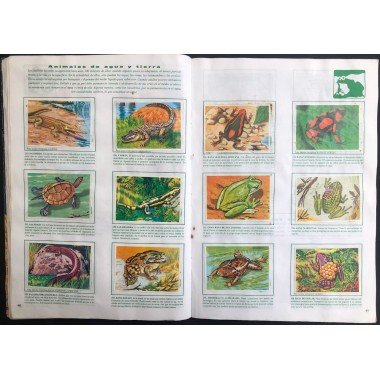 JET, Historia Natural 3