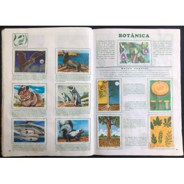 JET, Historia Natural 3