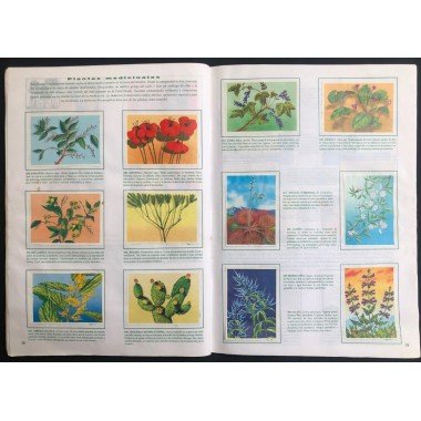 JET, Historia Natural 3