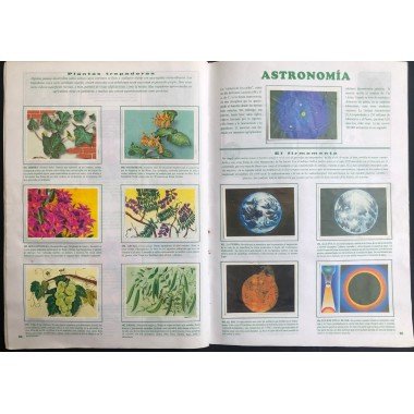 JET, Historia Natural 3