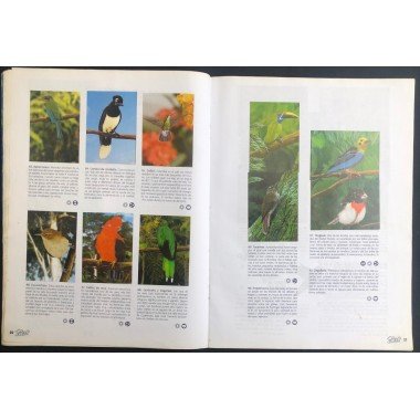 JET, El Mundo de Los Animales - JET