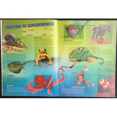 JET, El Mundo de Los Animales - JET