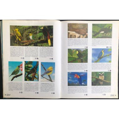 JET, El Mundo de Los Animales - JET