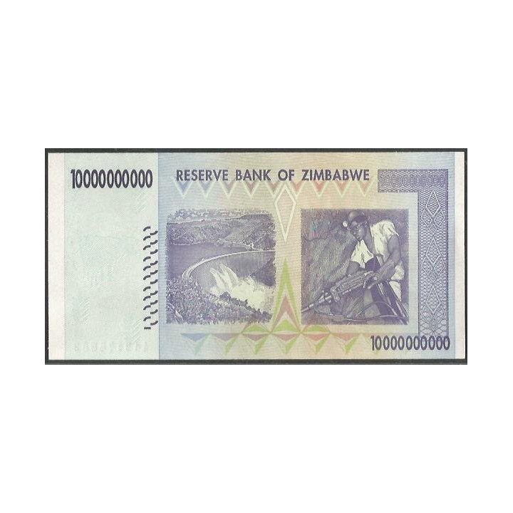 Zimbabwe 10.000.000.000 Dollars 5 Nov 2008 P85 reverso