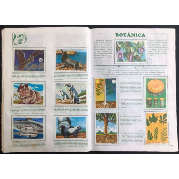 JET Historia Natural 3 reverso