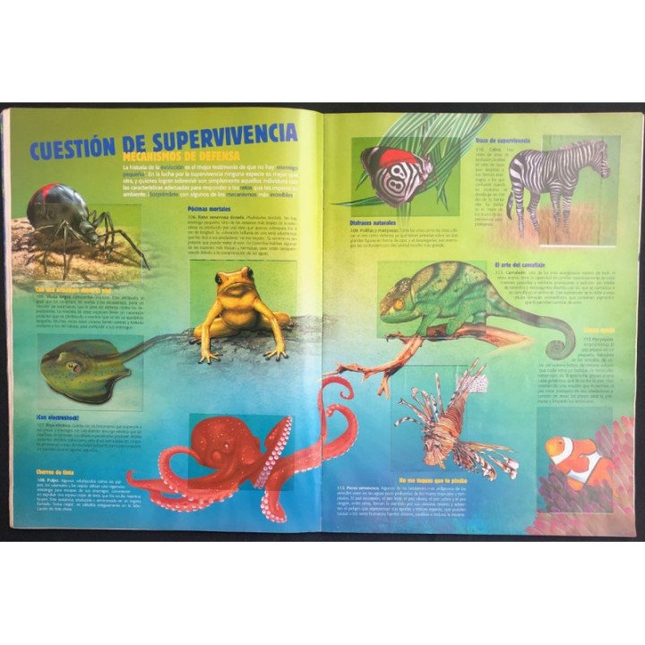 JET El Mundo de Los Animales - JET reverso