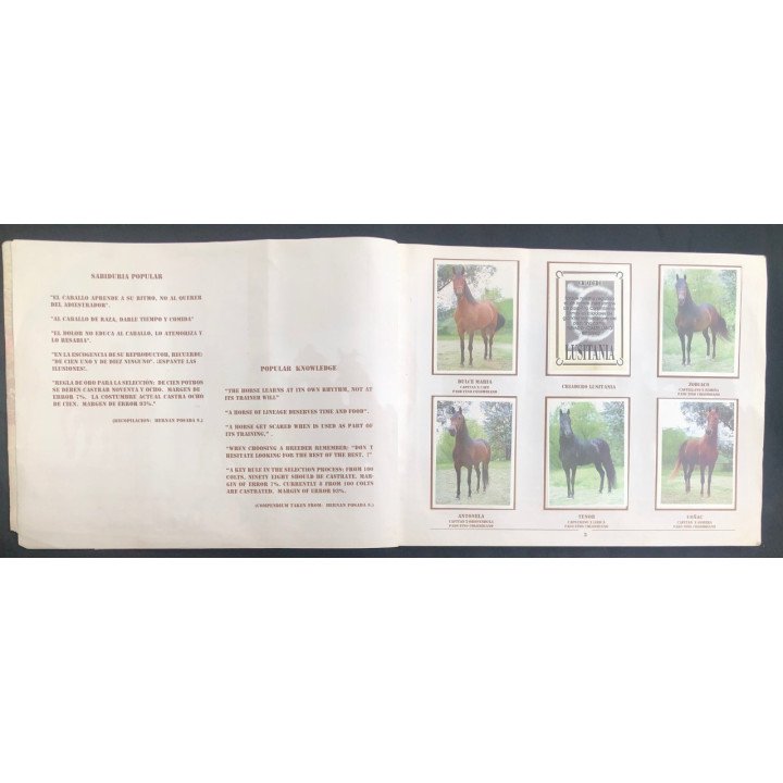 Caballos de Paso de América Al Galope reverso