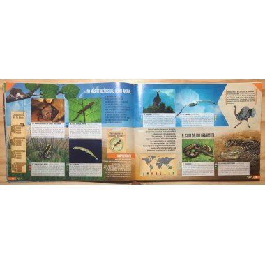 JET, Planeta Sorprendente