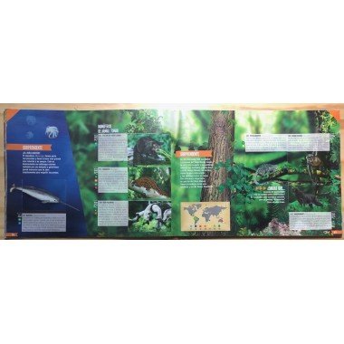 JET, Planeta Sorprendente