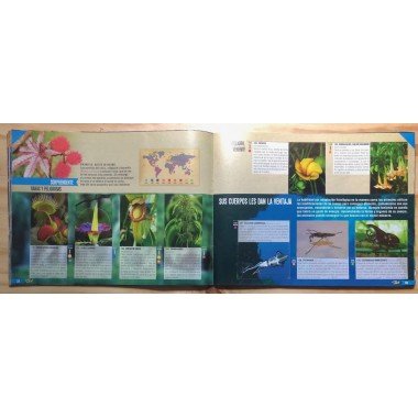 JET, Planeta Sorprendente