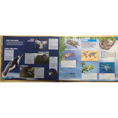 JET, Planeta Sorprendente