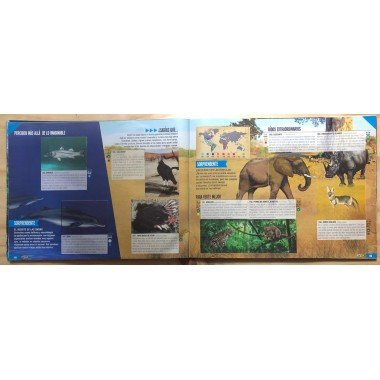 JET, Planeta Sorprendente