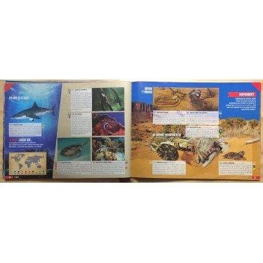 JET, Planeta Sorprendente