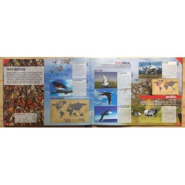 JET, Planeta Sorprendente