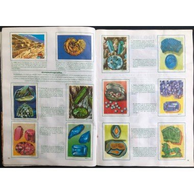 JET, Historia Natural 3