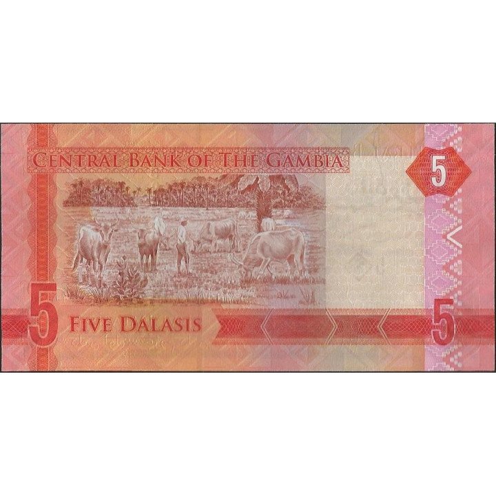 Gambia 5 Dalasis ND2015 P31 reverso