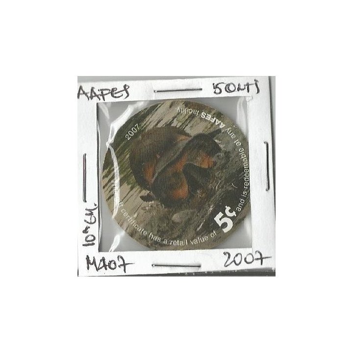 Estados Unidos - AAFES 5 Cents 2007 PM407