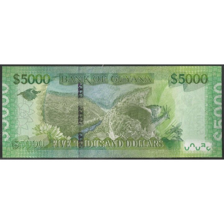 Guyana 5.000 Dollars ND2013 P40 reverso