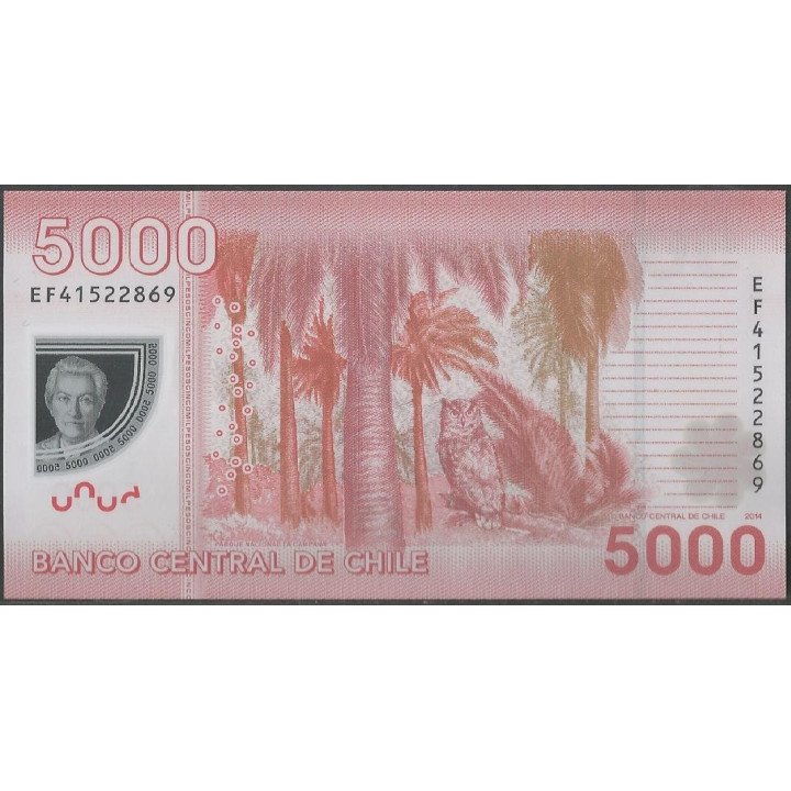 Chile 5.000 Pesos 2014 P163d reverso