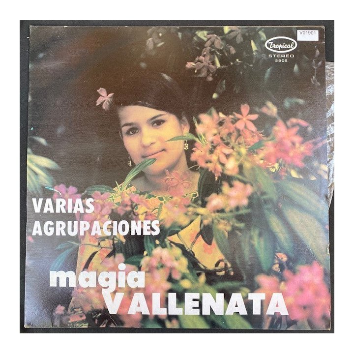 Magia vallenata - Colombia
