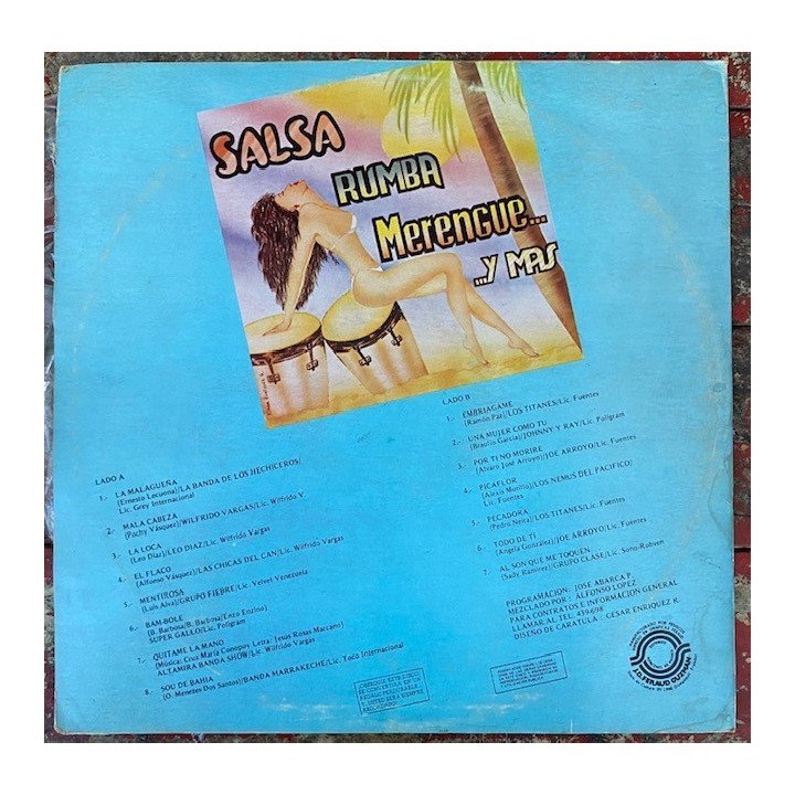 Salsa rumba y merengue Volumen 2 - Ecuador 1990 reverso