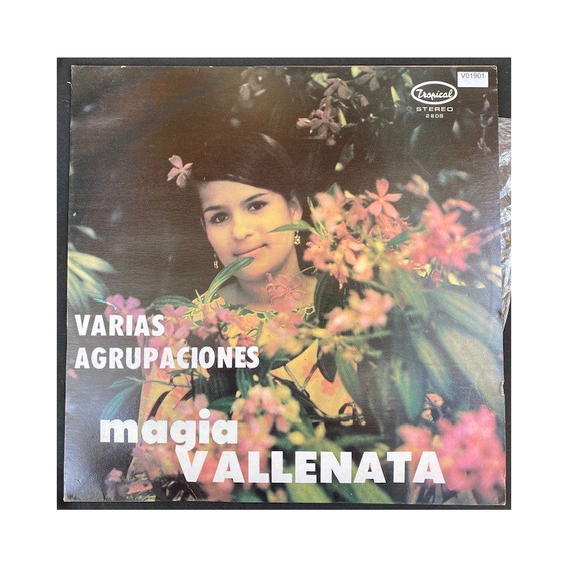Magia vallenata - Colombia