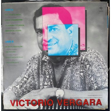 Victorio Vergara, Costa Rica 1990