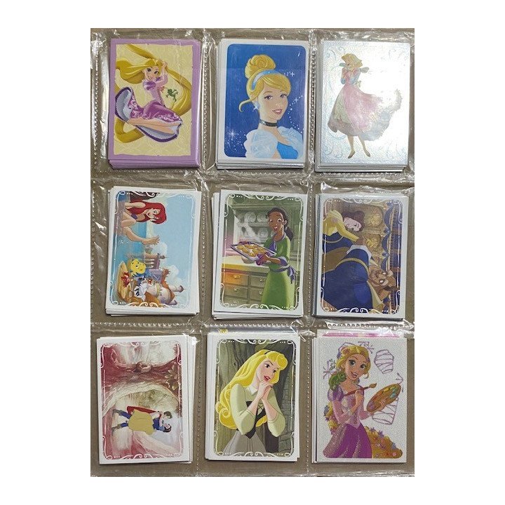 Princesa conquista tus sueños Disney - Panini reverso