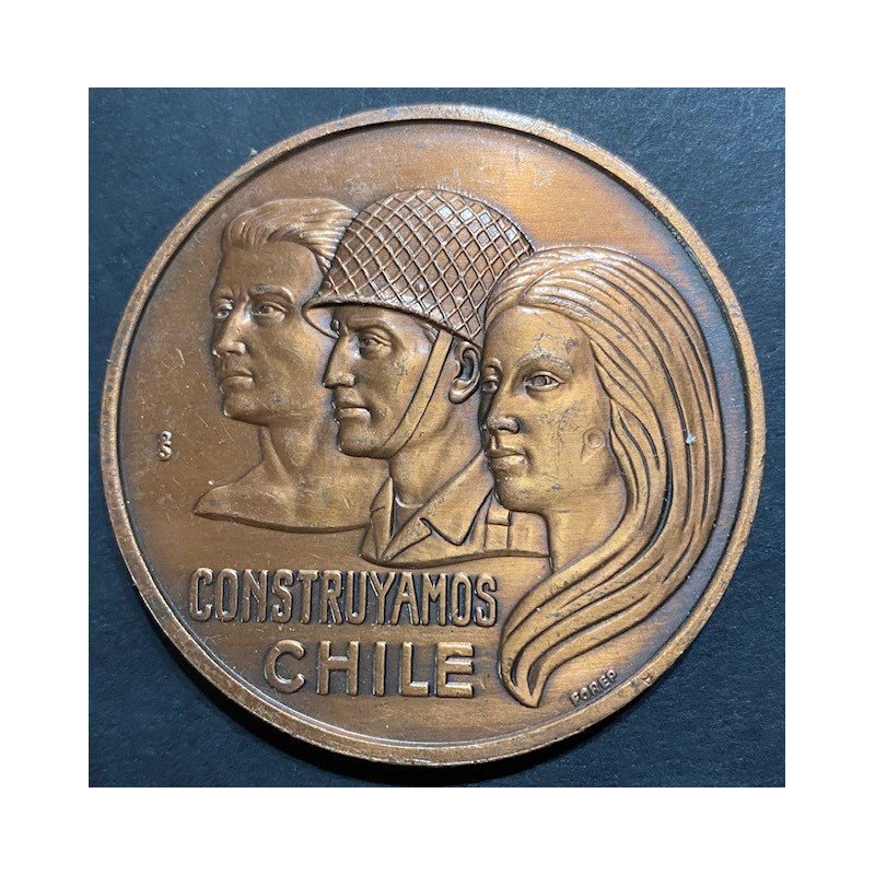 Medalla Construyamos Chile
