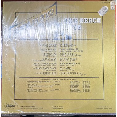 The Beach Boys - Music In Gold