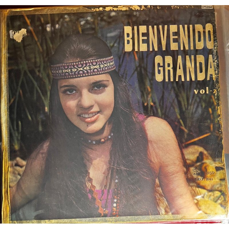 Bienvenido Granada -  Vol. 2