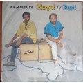 Hansel & Raul - La Magia De Hansel & Raul