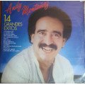 Andy Montañez - 14 Grandes exitos