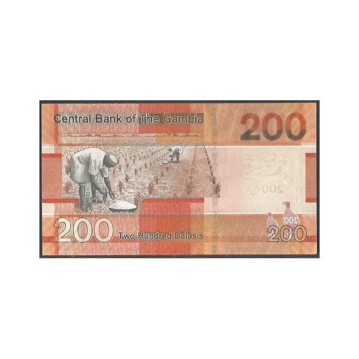 Gambia 200 Dalasis ND2023 P42c reverso