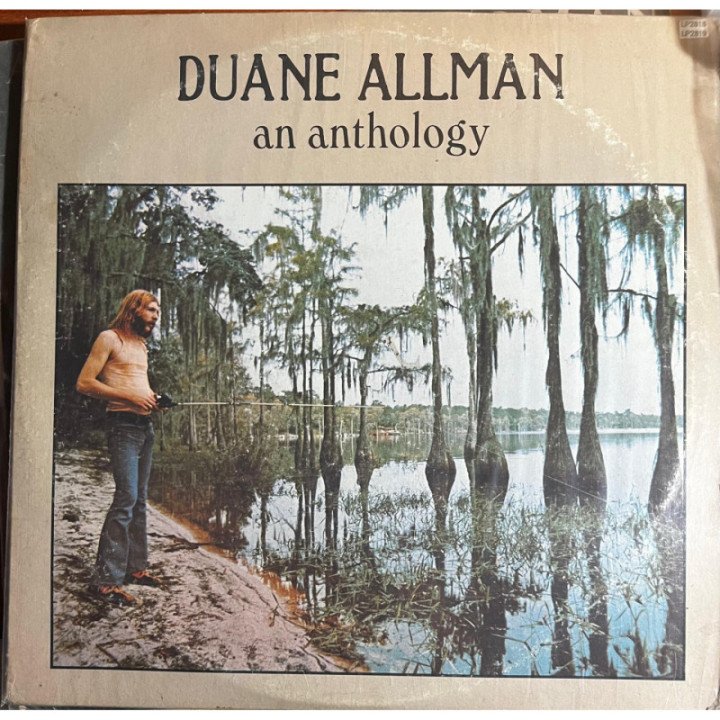 Duane Allman - an anthology (x2 vinilos)