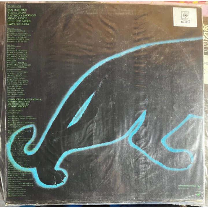 Al Di Meola - Electric Rendevouz reverso