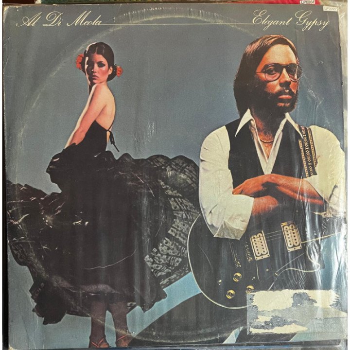 Al Di Meola - Elegant Gypsy