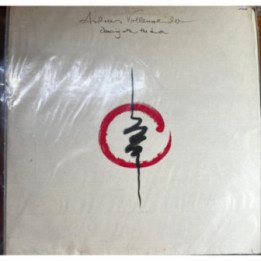 Andreas Vollenweider - Dancing with the Lion