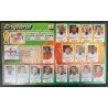 Futbol - Mundial, Korea - Japon 2002 Panini