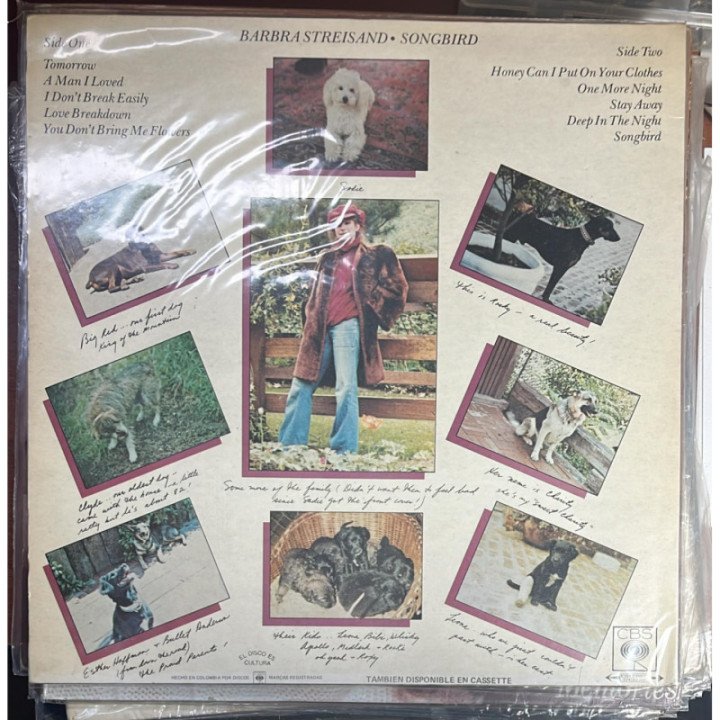 Barbara Strasand - Songbird reverso