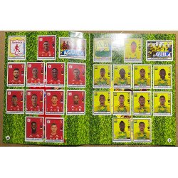 Futbol - Futbol Colombia, FPC 2017 Boycol A549