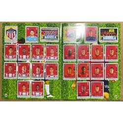 Futbol - Futbol Colombia, FPC 2017 Boycol A549