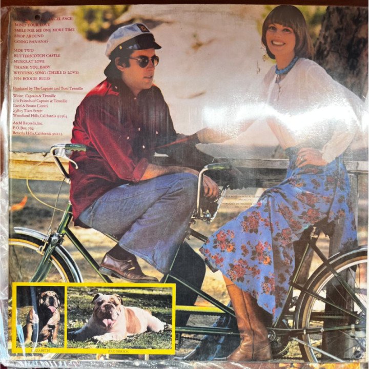 Captain & Tenille - Song Of Joy reverso