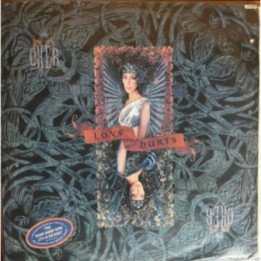 Cher - Love Hurts