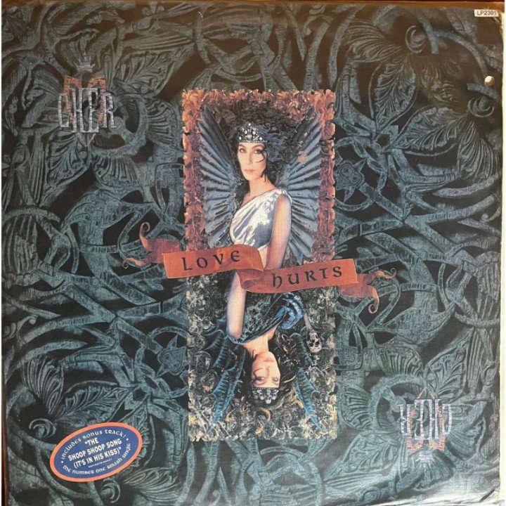Cher - Love Hurts